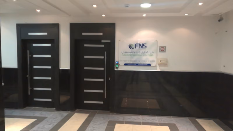 شركة حلول شبكات المستقبل (FNS)