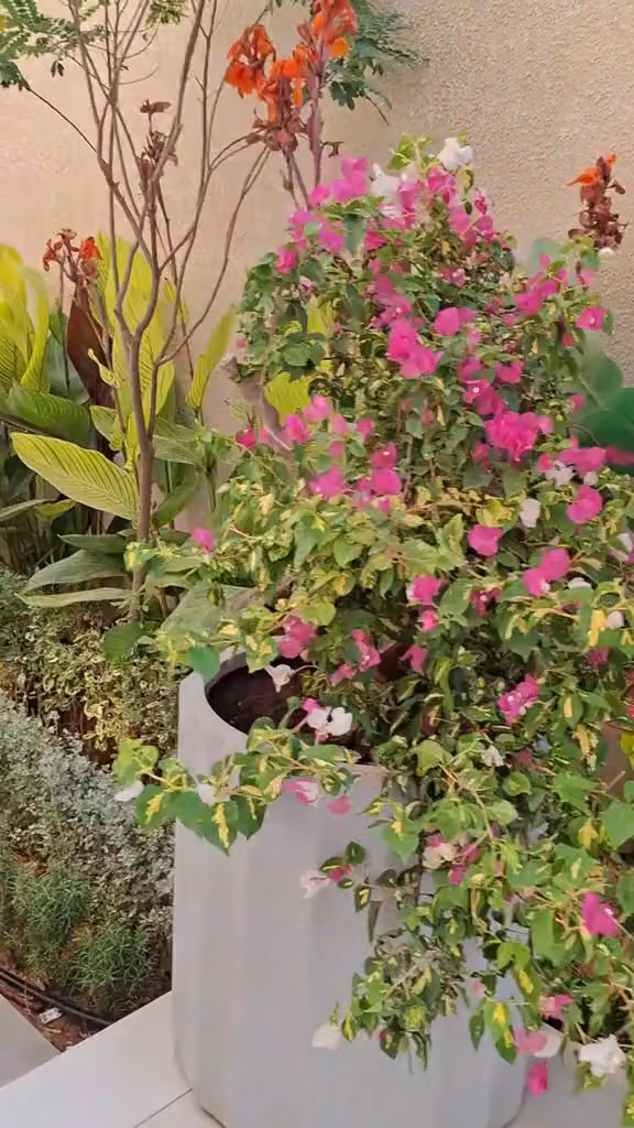 شركه هوم جاردن