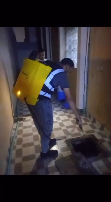 شركة جبل النسور مكافحة حشرات