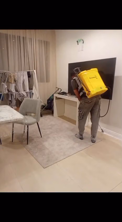 شركة جبل النسور مكافحة حشرات