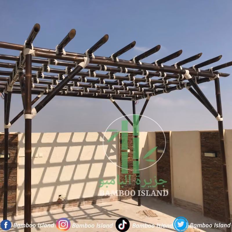شركة جزيرة الخيزران