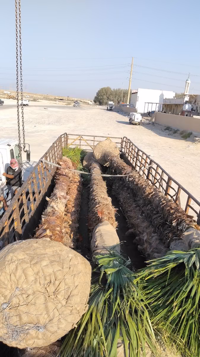 شركة مساكن التطوير العقارية