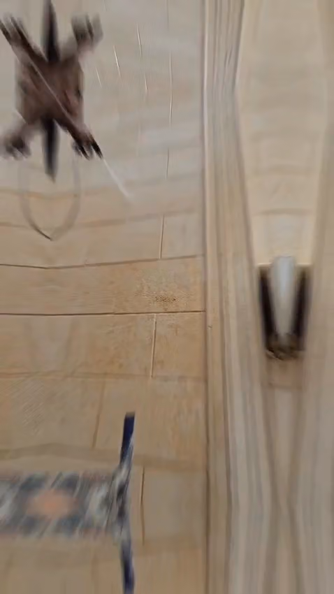 شركه نظافه الرياض