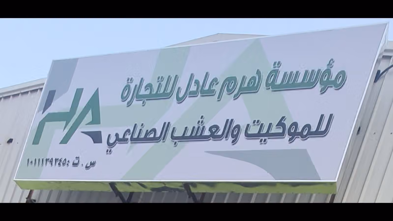شركة قمة عادل للموكيت
