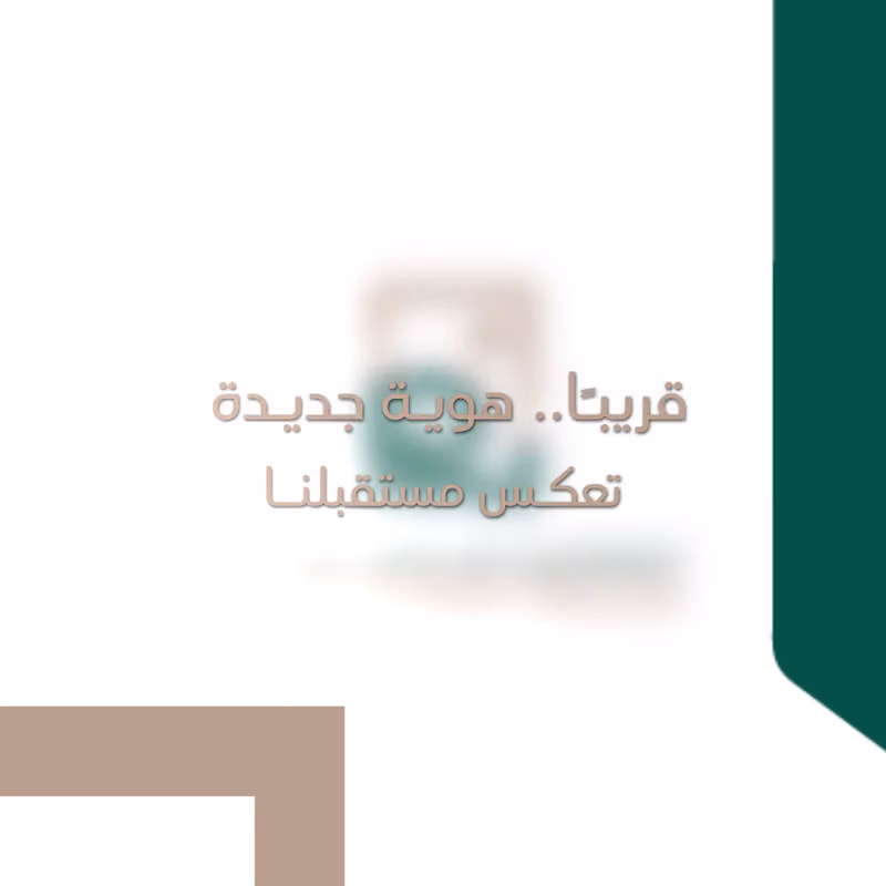 شركة رفيف للاستشارات المهنية