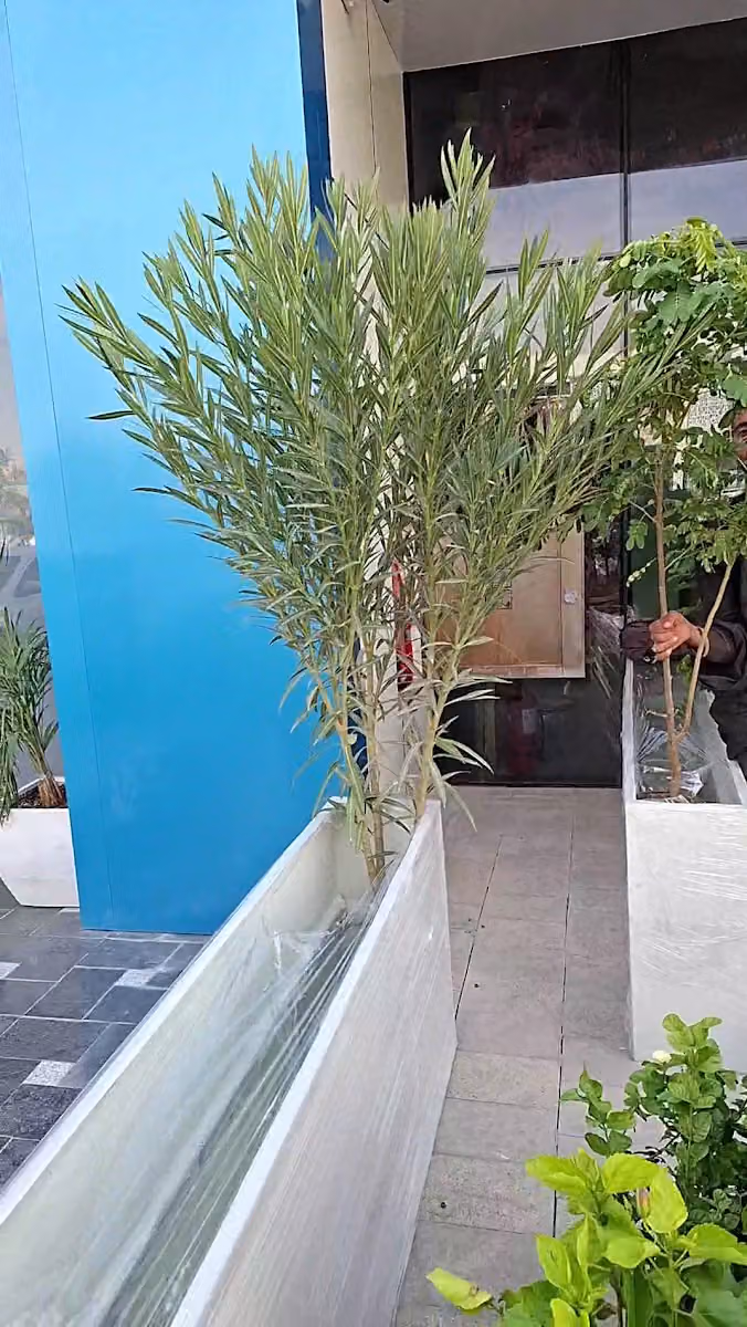 شركة سبل التنمية للتطوير العقاري