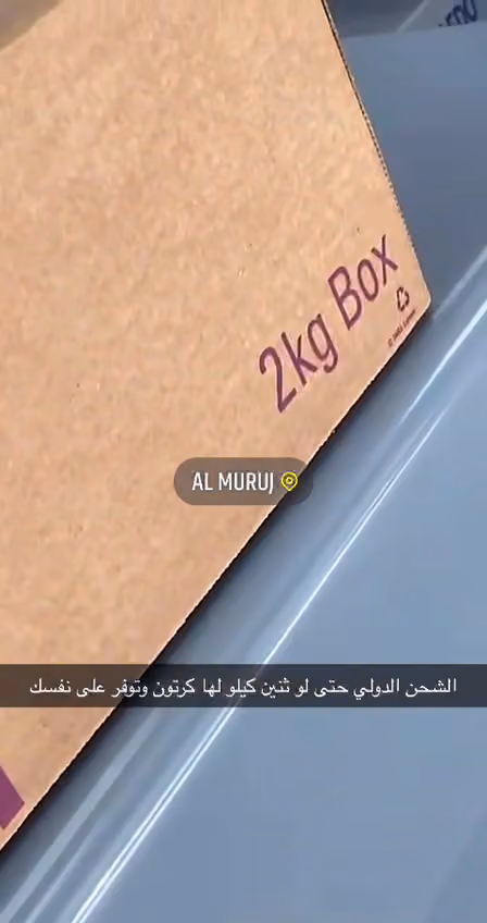 شركة سمسا للنقل السريع المحدودة