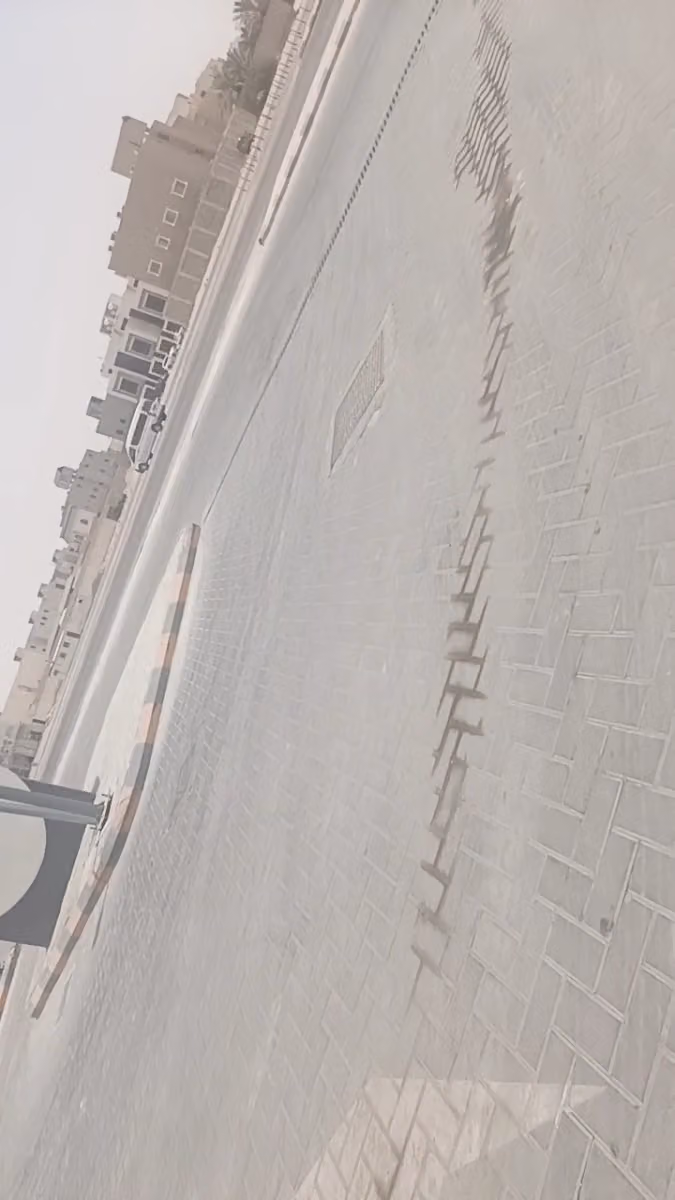 شركة سمسا للنقل السريع المحدودة