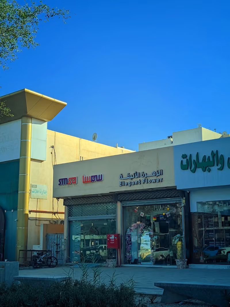 شركة سمسا للنقل السريع المحدودة