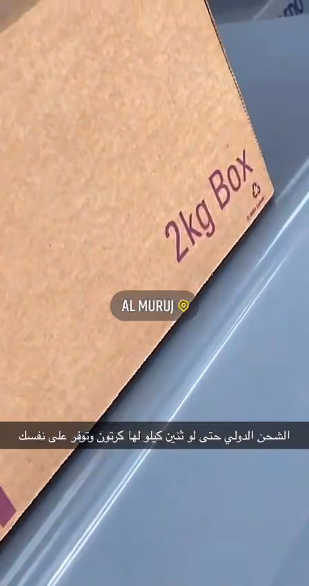 شركة سمسا للنقل السريع المحدودة
