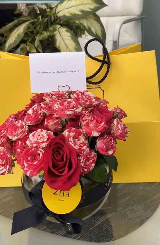 شركة تنفيذ السداد