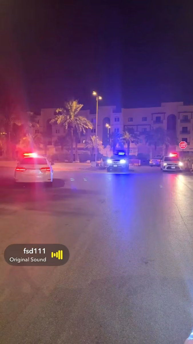 شركة وسام النبلاء للحراسات الامنية