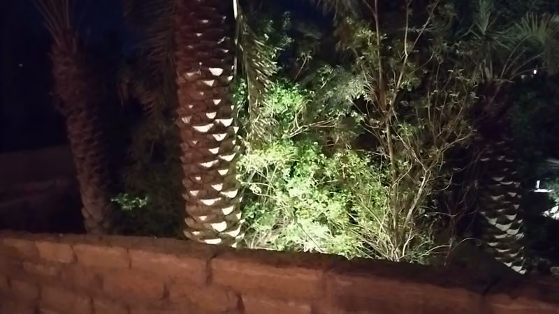 صهيل لاونج