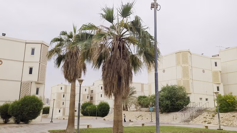 سكن الطلاب