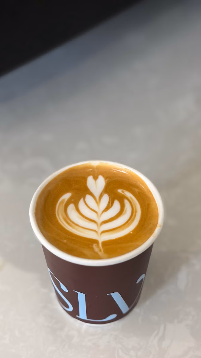 SLV Cafe | سلف كافي