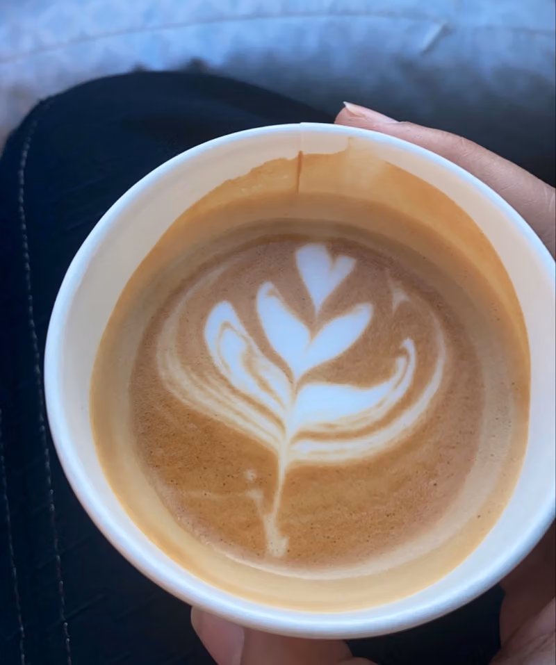 سليب قهوة مختصة