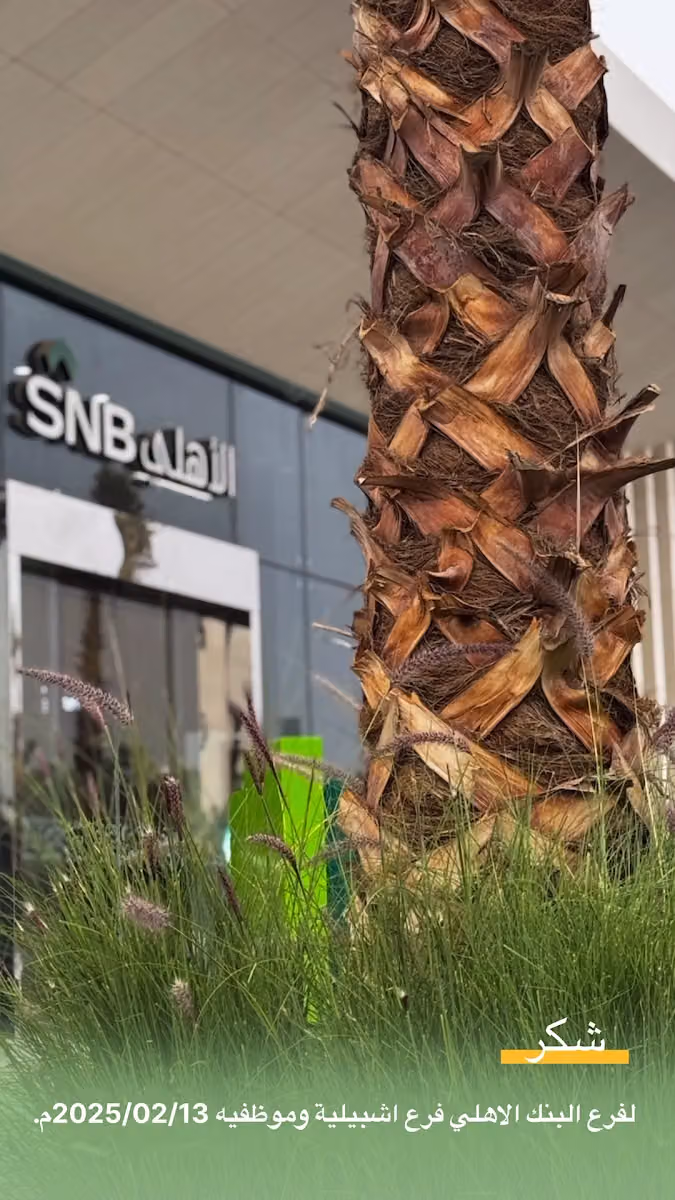 SNB AlAhli