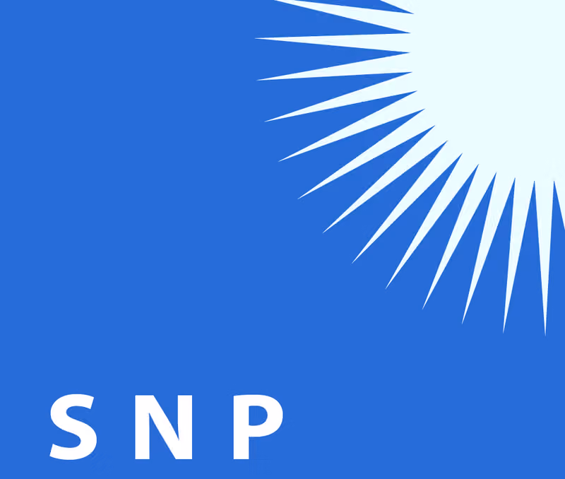 Snp investments ltd