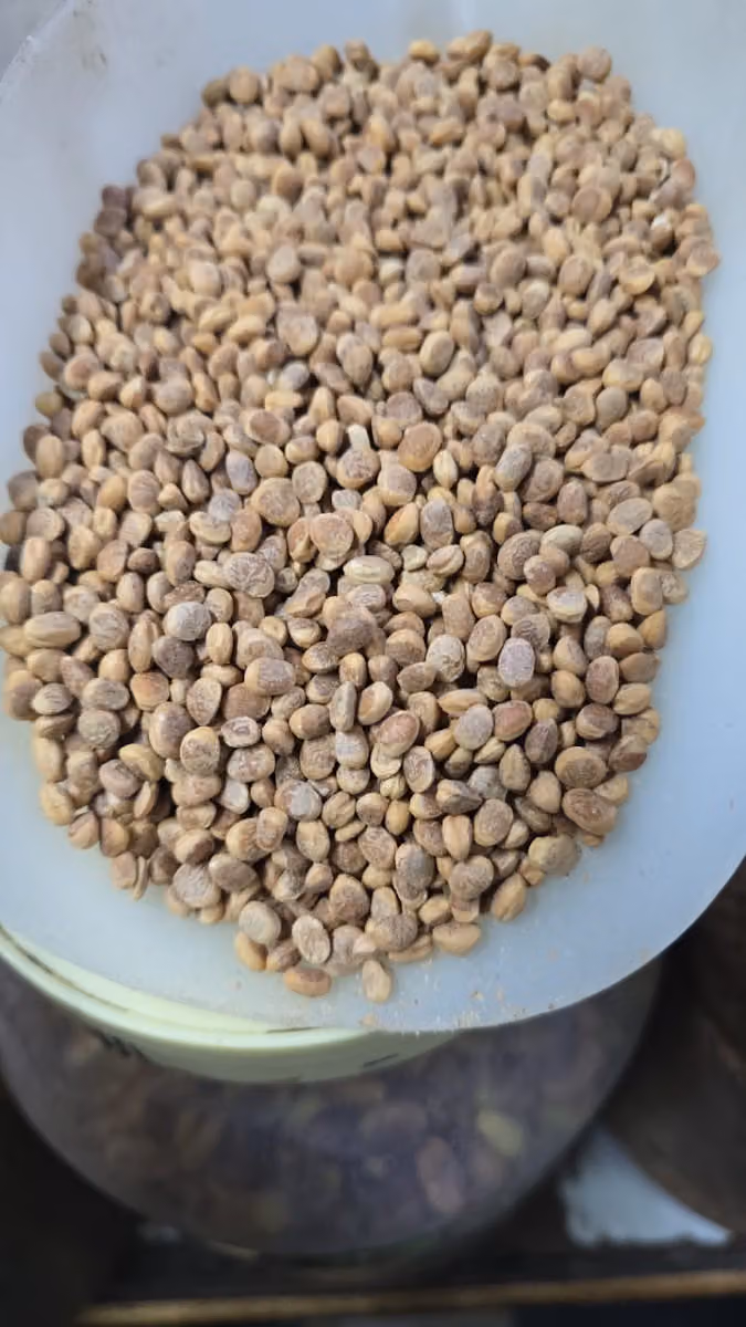 SOHAIL FLOUR MILL-SOHAIL