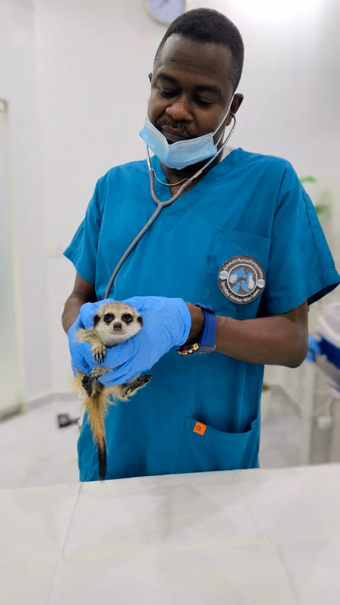 Specialized Veterinary Clinics Centers SVCC مراكز العيادات البيطرية التخصصية