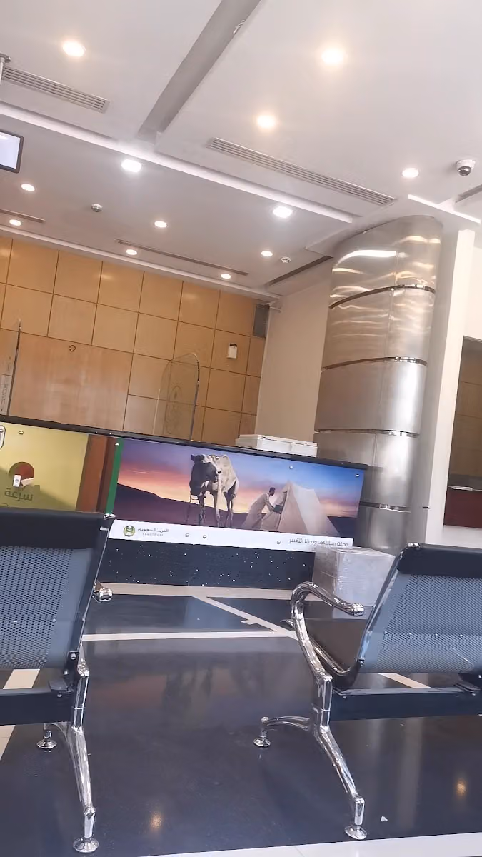 البريد السعودي سبل