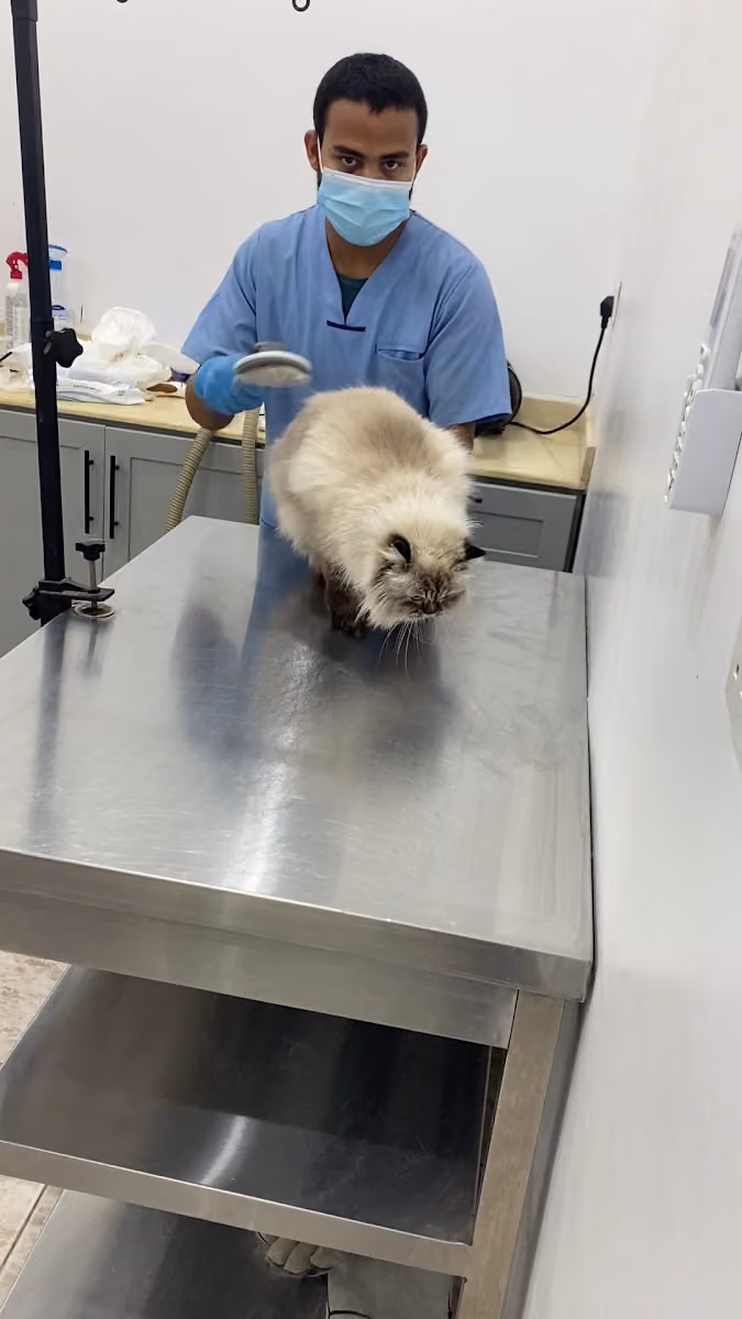Super care Veterinary clinic عيادة الاهتمام الفائق البيطرية