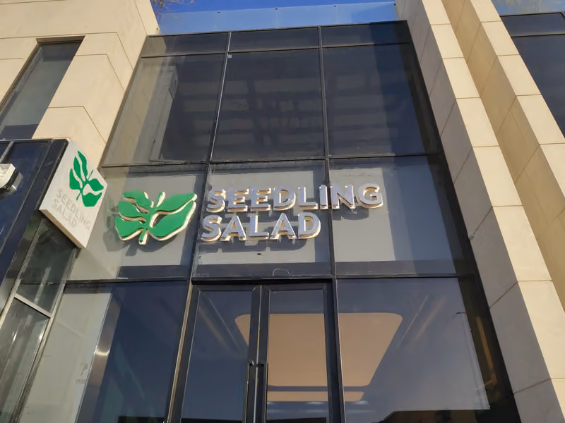 سيدلنق سالاد SEEDLING SALAD