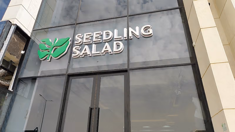 سيدلنق سالاد SEEDLING SALAD