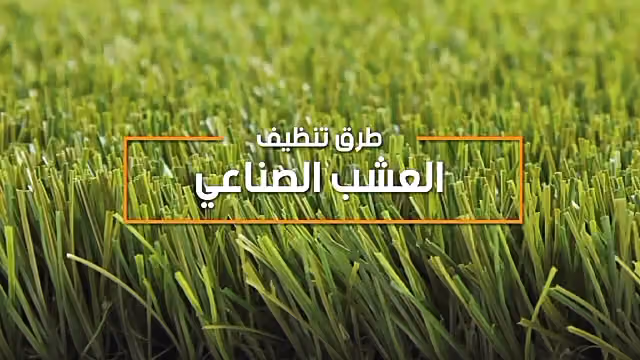 سيلفن
