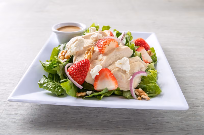 سيتي فريش كتشن