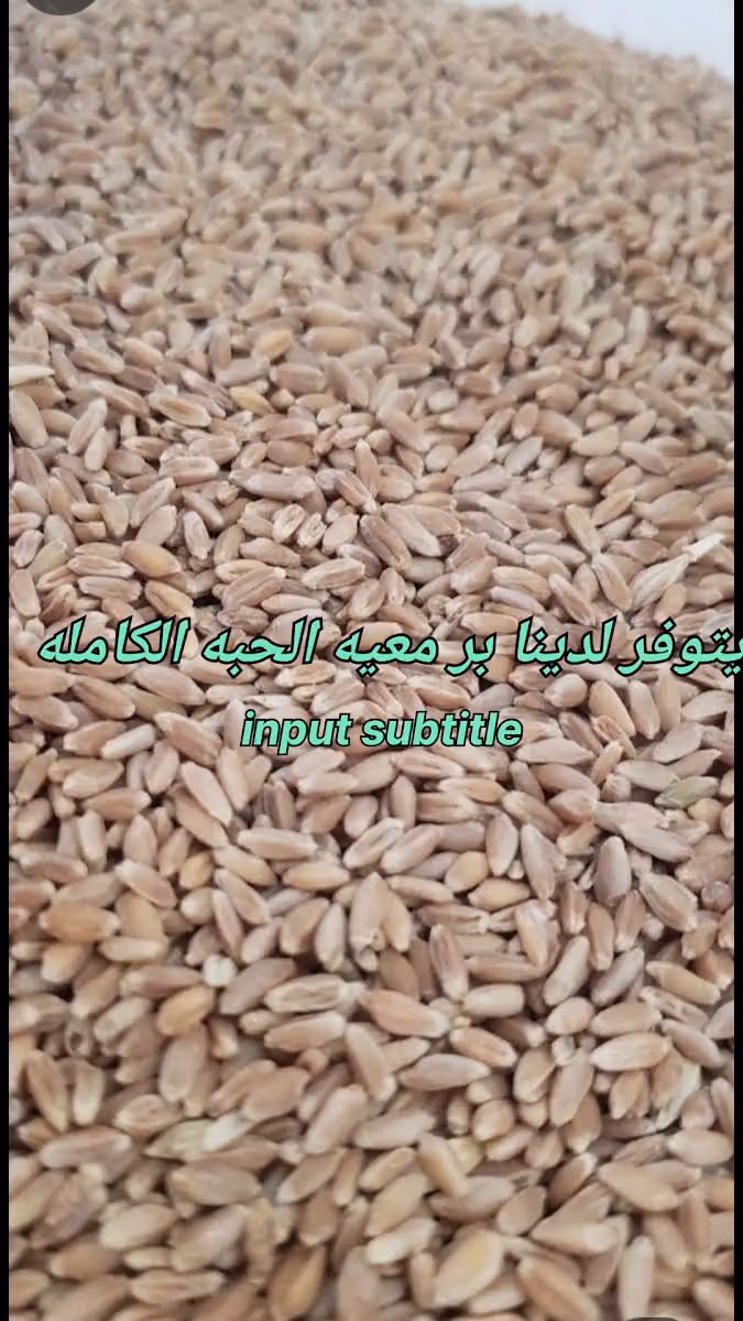 طاحون البلقاء