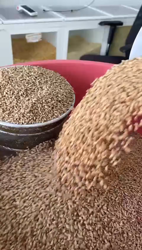 طاحون ارياف الغدير