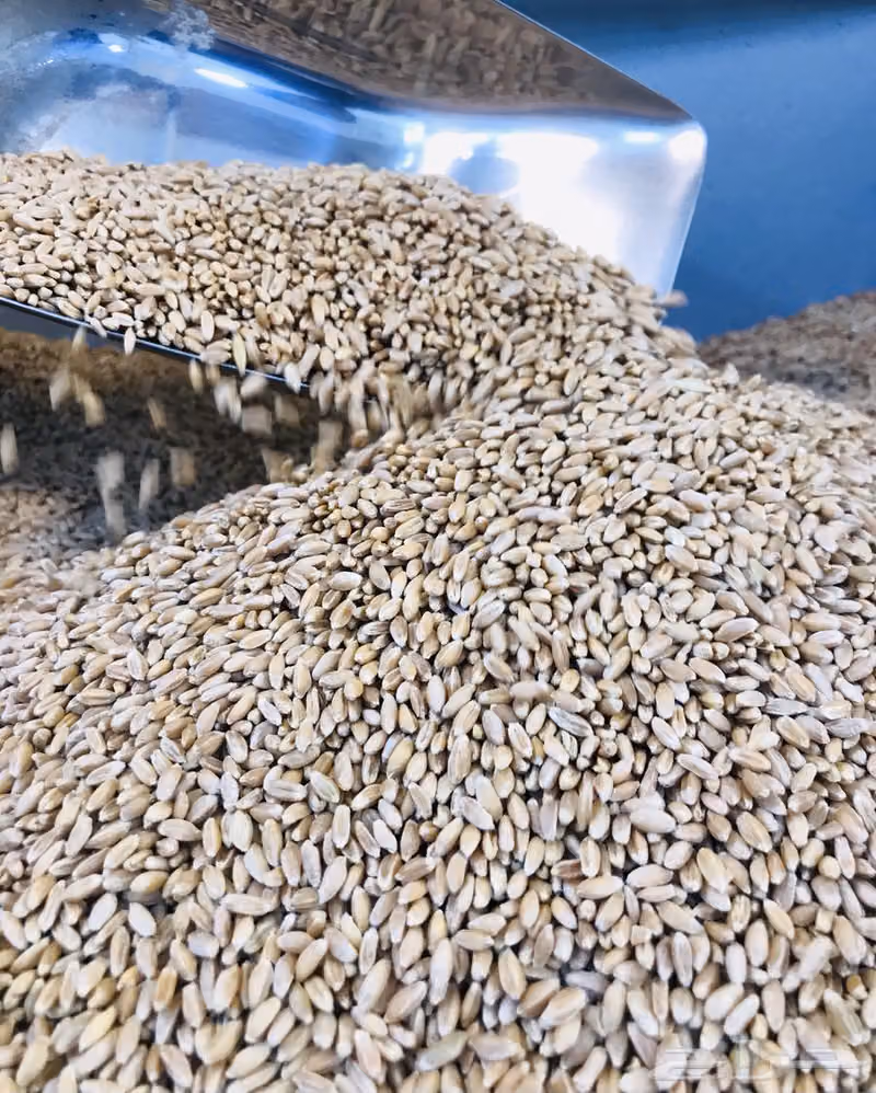 طاحون سواعد التنمية