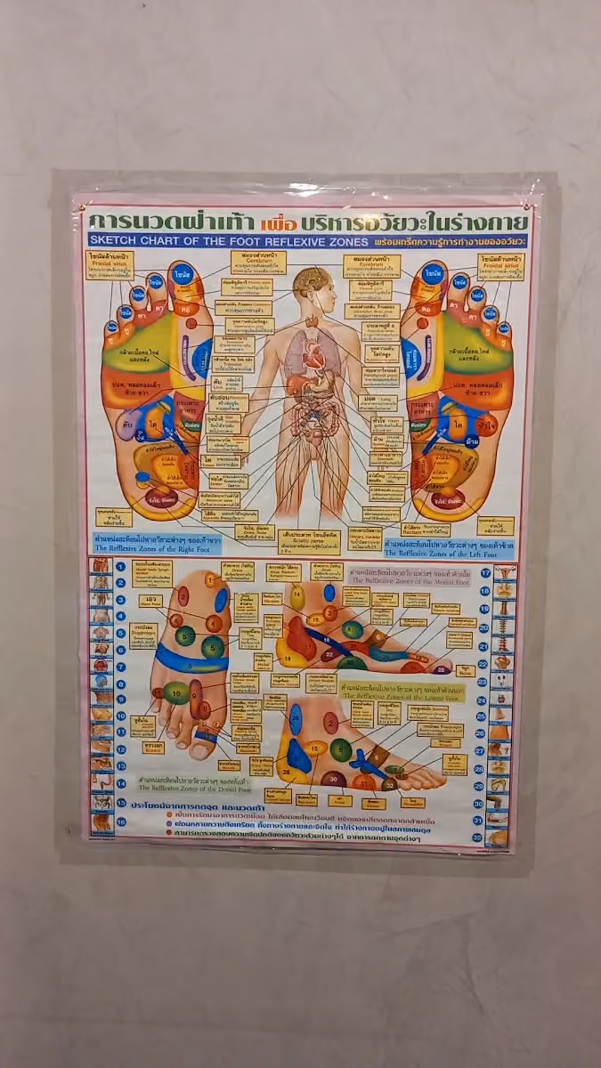 THAILANDFOOT+FULL MASSAGEشركة لامسة للراحة