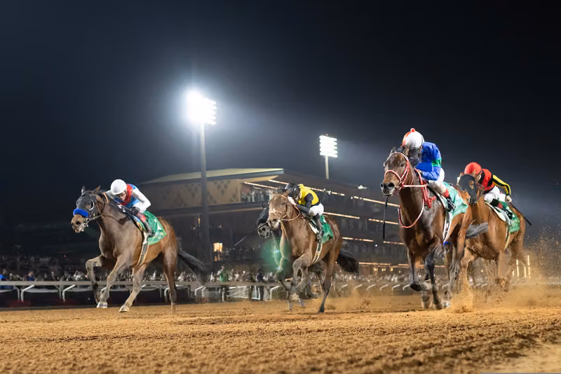 The Saudi Cup