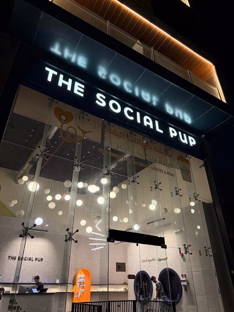 The Social Pup