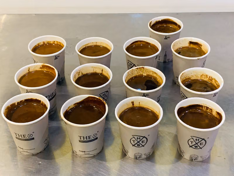 THE X COFFEE 2 ذى اكس كوفي