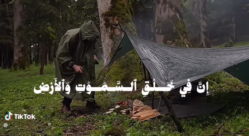 تموينات أضواء سلطانه
