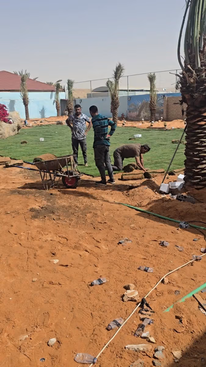 تنسيق بستاني