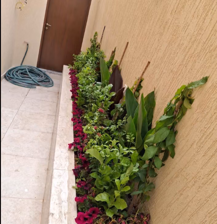 تنسيق حدائق وشبكات ري خبرة أكثر من 10سنوات وأعمال وخدمات الصيانة بعد الزراعة