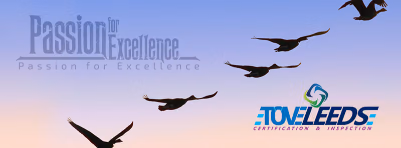 Tove Leeds Certification and Inspection