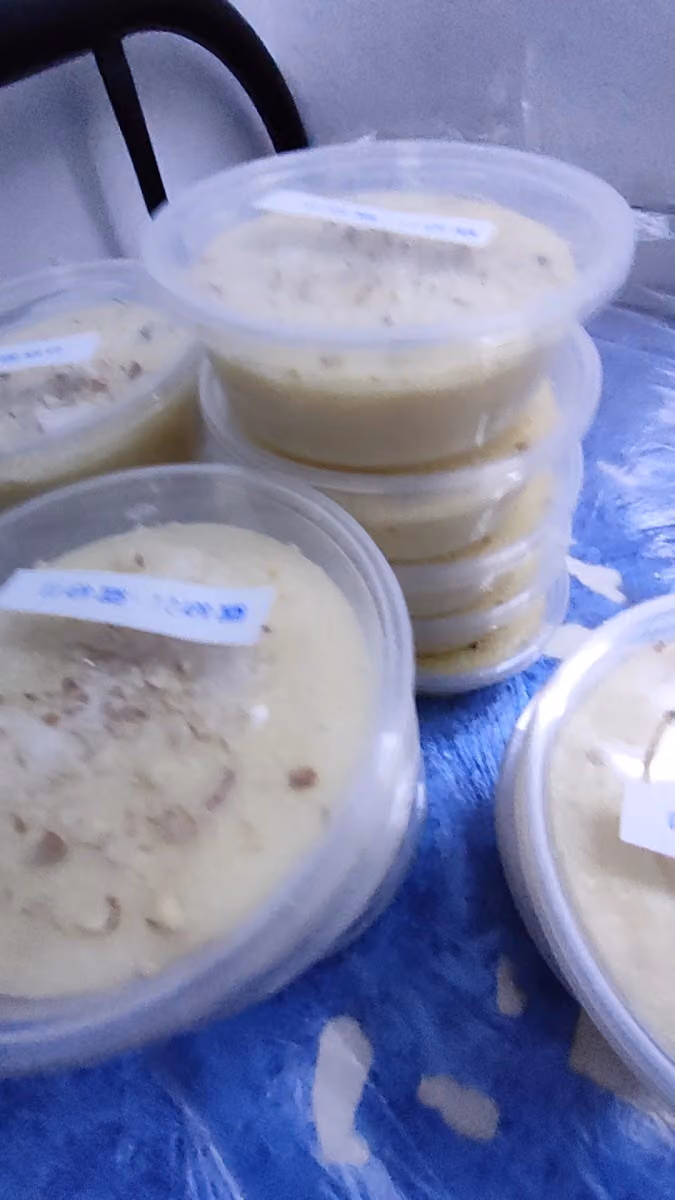 Traditional Kheer Riyadh