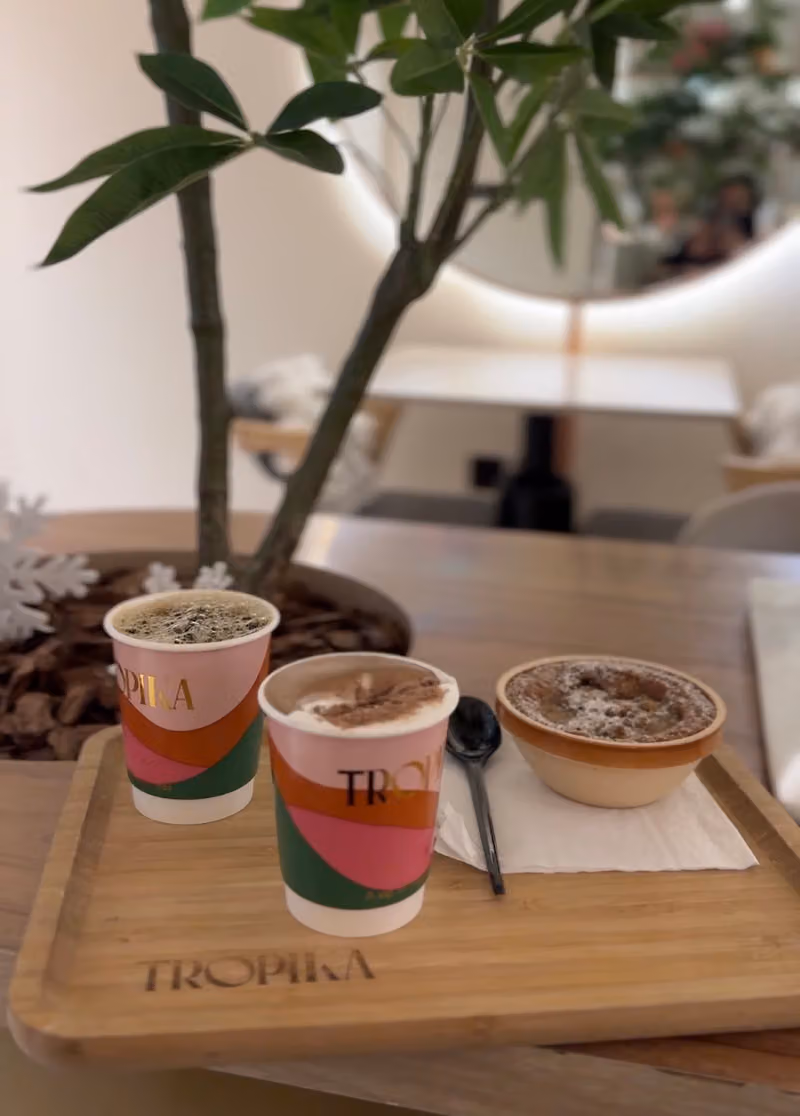 تروبيكا الغدير tropika