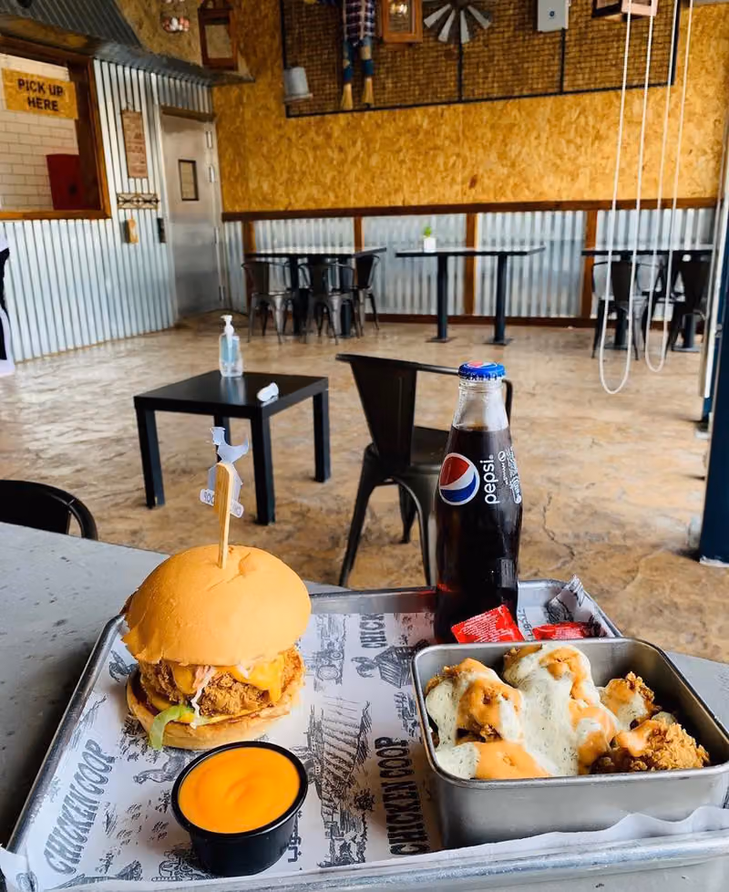 تشيكنكوب - CHICKENCOOP