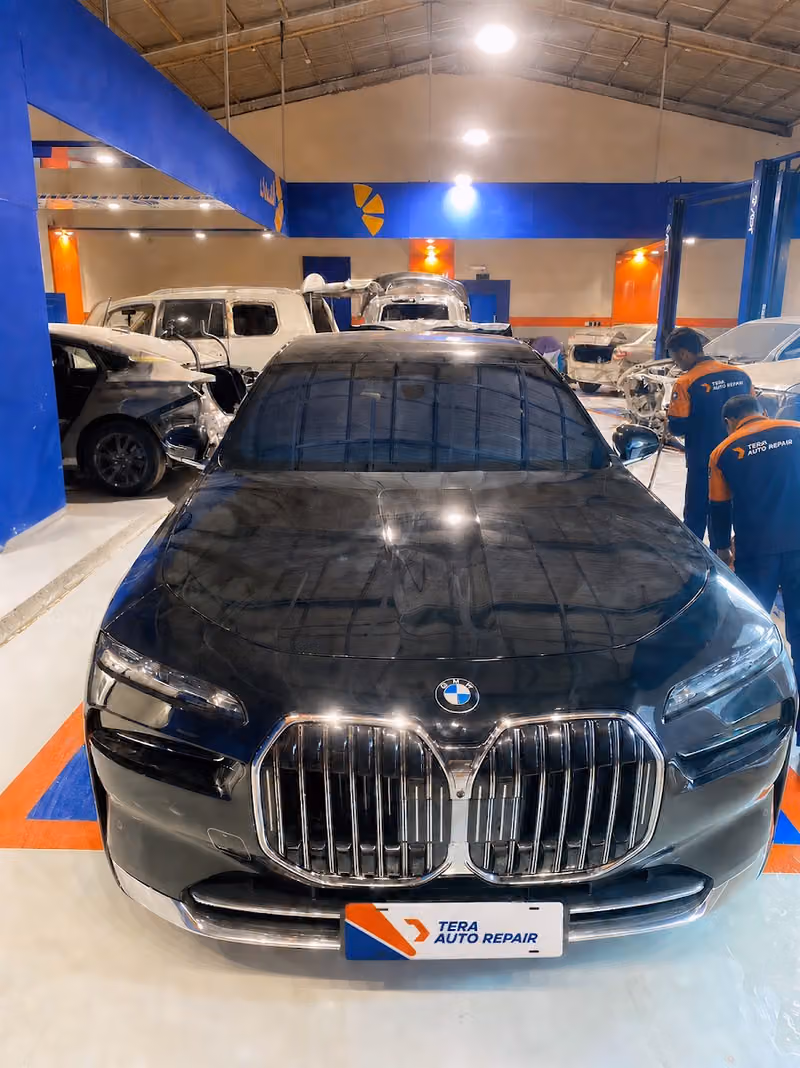 تيرا موتورز TERA MOTORS