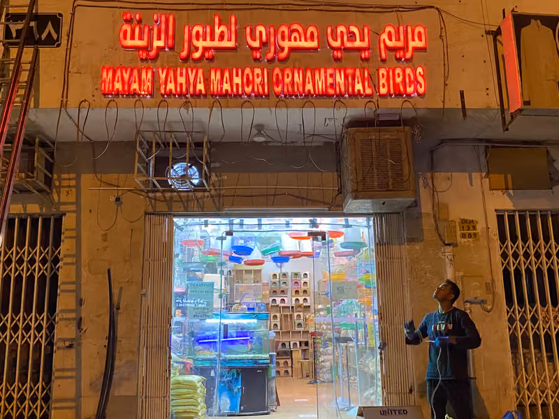 طيور الزينة