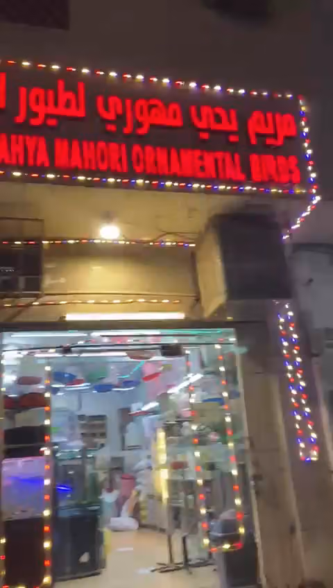 طيور الزينة