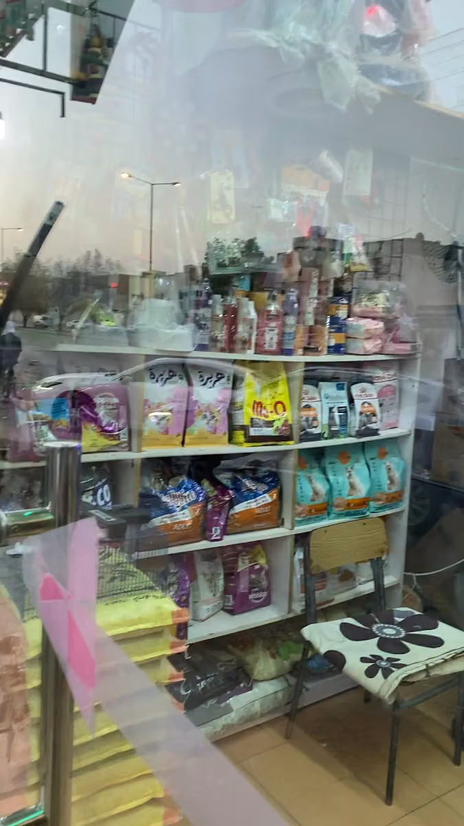 طيور الزينة
