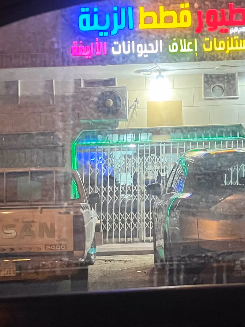 طيور قطط الزينة اعلاف مستلزمات حمام ارانب بط شبوك اقفاص