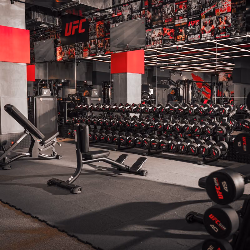 UFC gym